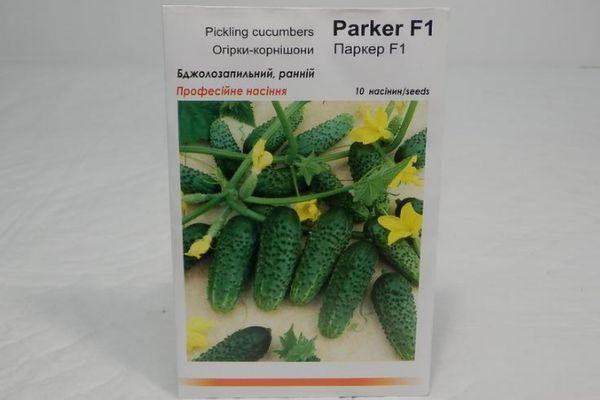 graines de concombre