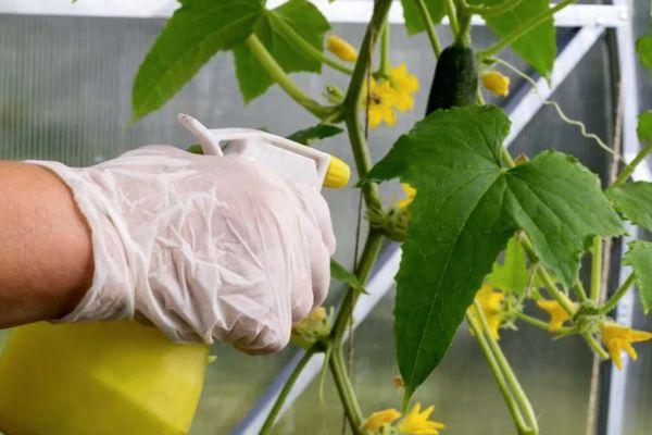 Combattre les maladies