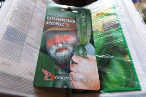 คำอธิบายแตงกวา Petersburg Express F1 และการปลูกพันธุ์ผสม