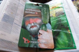 เมล็ดแตงกวา