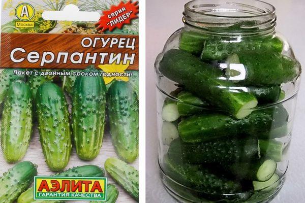 เมล็ดพันธุ์ในแพ็ค