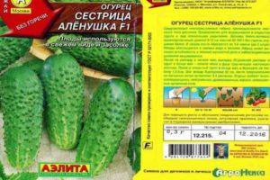 คำอธิบายของแตงกวา Sestritsa Alyonushka และคำแนะนำในการปลูกพันธุ์นี้