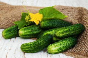 ลักษณะของแตงกวา Vesyolye Gnomiki F1 การปลูกและการเก็บเกี่ยว