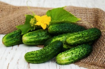 แตงกวาสุก