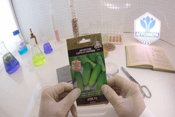 เมล็ดพันธุ์ในแพ็ค