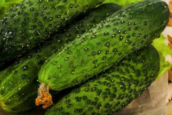 แตงกวาสุก