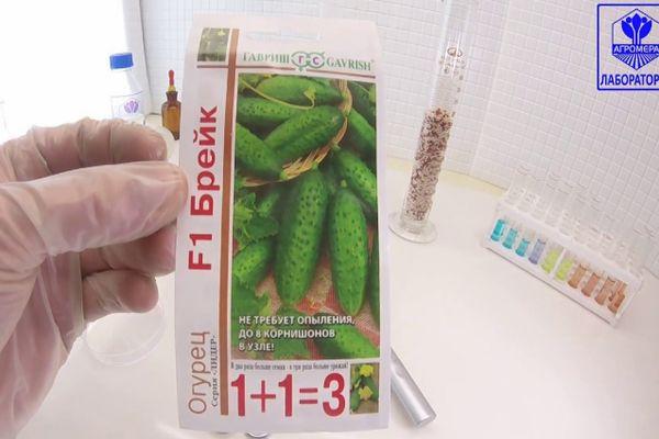 เมล็ดพันธุ์หนึ่งแพ็ค