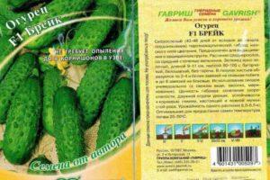 ลักษณะแตงกวาลูกผสมที่เรียกว่า Break การเพาะปลูกและผลผลิต