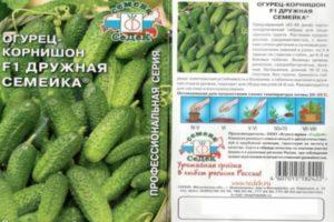 ลักษณะและวิธีการปลูกแตงกวาลูกผสม Friendly Family