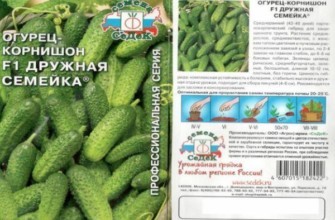 ลักษณะของแตงกวา