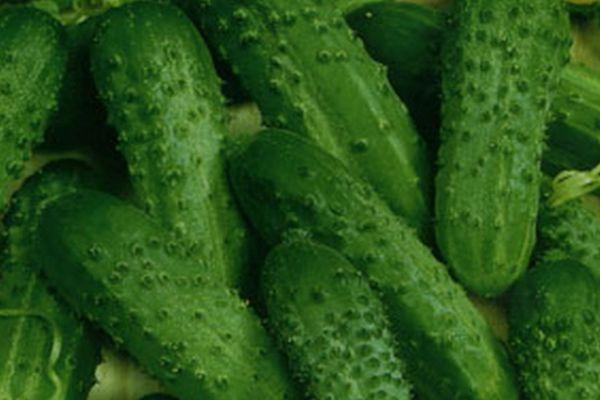 แตงกวาสุก