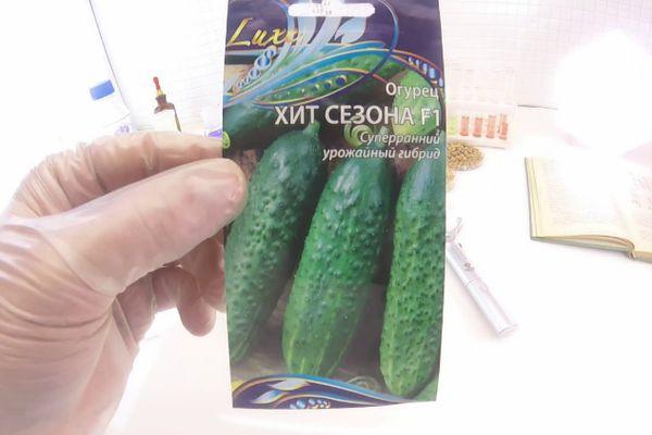 เมล็ดพันธุ์ในแพ็ค