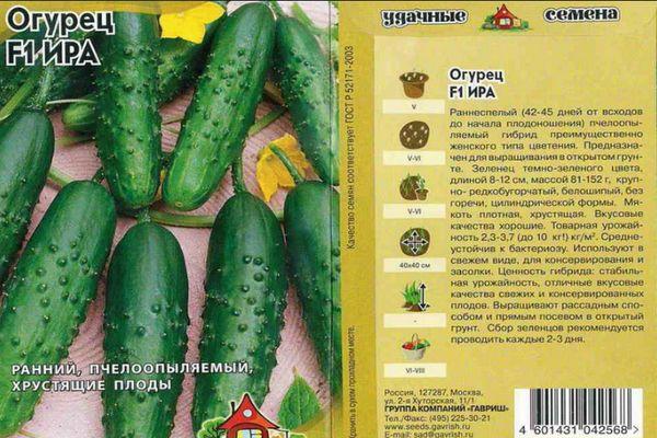 เมล็ดแตงกวา