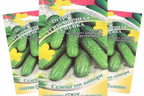 เมล็ดแตงกวา