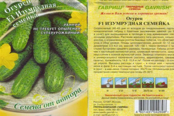 เมล็ดแตงกวา