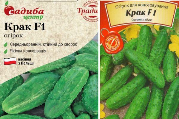 Description du concombre