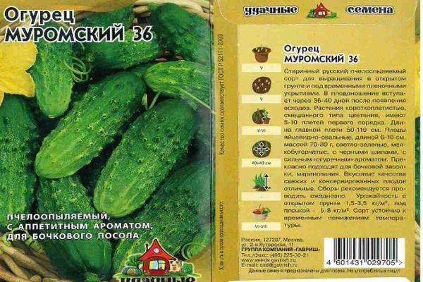 เมล็ดแตงกวา