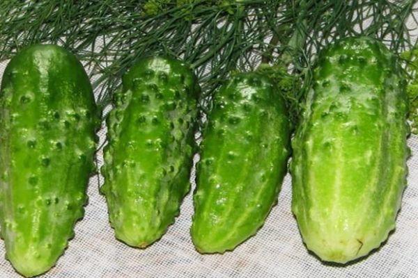 แตงกวาสุก