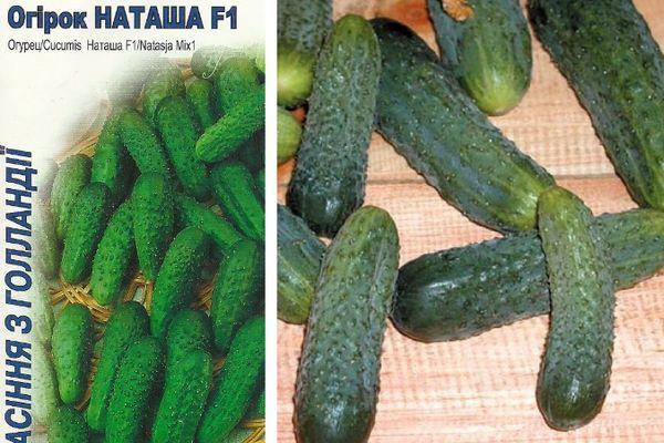 เมล็ดพืชและแตงกวา