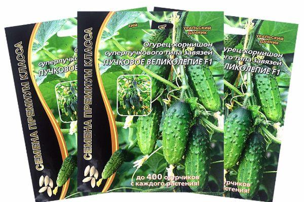 ซองเมล็ดพันธุ์