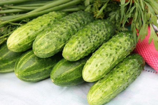 แตงกวาสุก