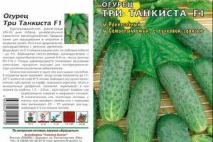 คำอธิบายพันธุ์แตงกวาสามสายพันธุ์และการปลูกแบบลูกผสม