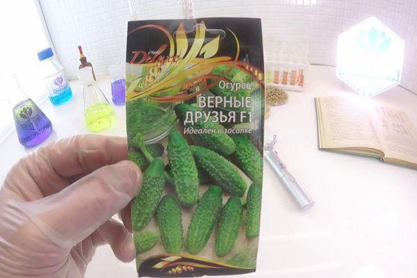 Un paquet de graines