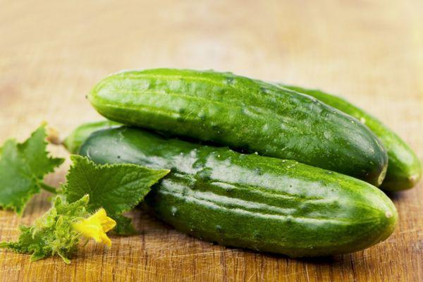 Concombres mûrs