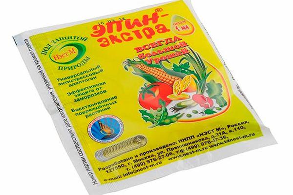 เอปิน-เอ็กซ์ตร้า