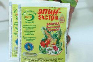 คำแนะนำในการใช้เอพินสำหรับแตงกวา วิธีการฉีดพ่น และเป็นไปได้หรือไม่