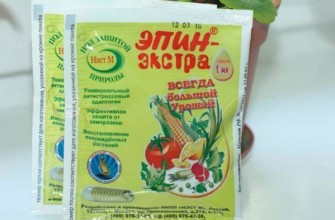 เอปิน-เอ็กซ์ตร้า