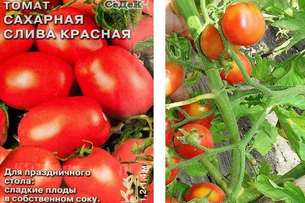 มะเขือเทศสีแดง