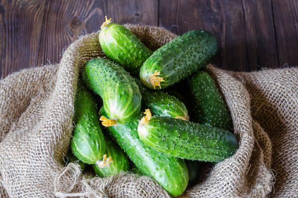 ผลแตงกวา