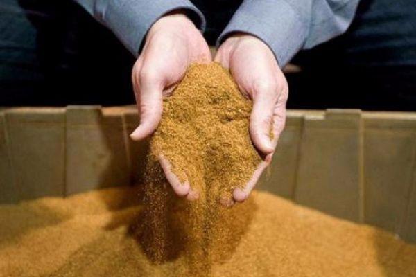 ฝุ่นยาสูบ