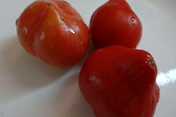 มะเขือเทศสามลูก