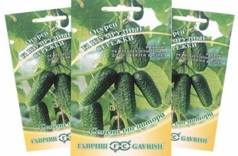 ซองเมล็ดพันธุ์