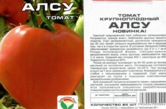 ลักษณะของมะเขือเทศ