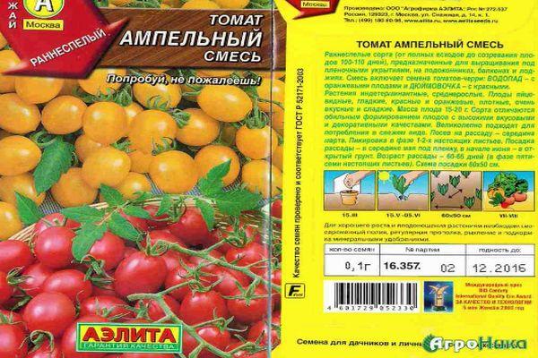 ลักษณะของมะเขือเทศ