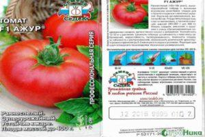 รายละเอียดของพันธุ์มะเขือเทศ Ajour ลักษณะและผลผลิต