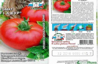 ลักษณะของมะเขือเทศ