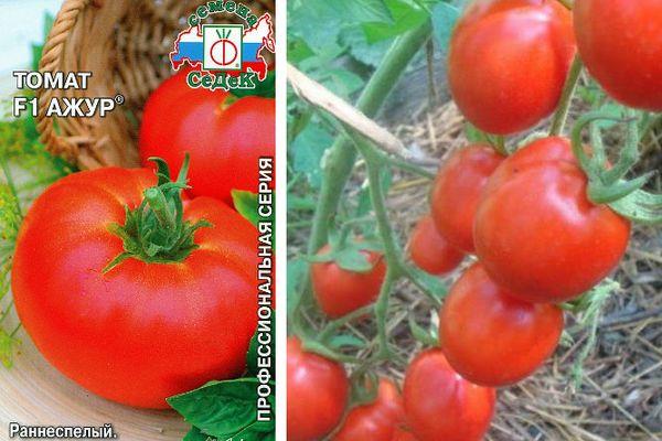Graines et tomates