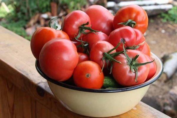 Bol de tomates