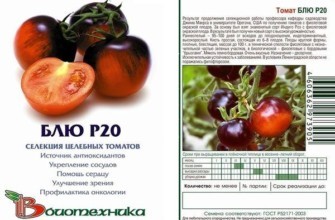 มะเขือเทศสีฟ้า