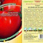 ลักษณะของมะเขือเทศ