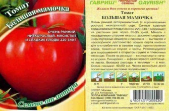 ลักษณะของมะเขือเทศ