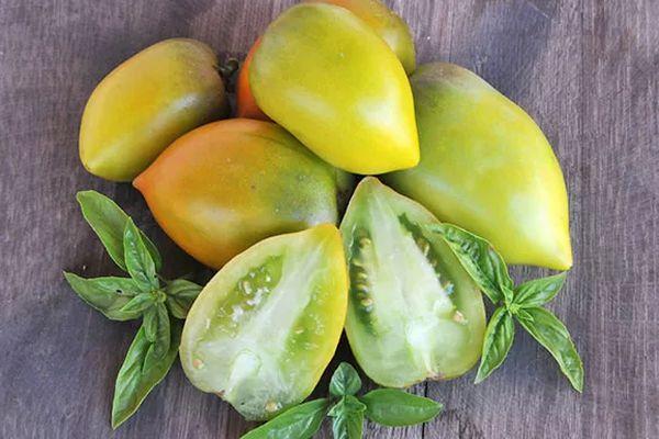 มะเขือเทศชิลี