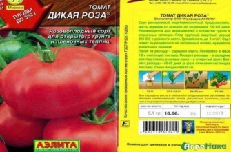 ลักษณะของมะเขือเทศ