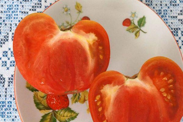 เนื้อมะเขือเทศ