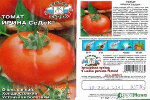 Description de la variété de tomate Irina F1, ses caractéristiques et son rendement