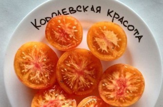 เนื้อมะเขือเทศ